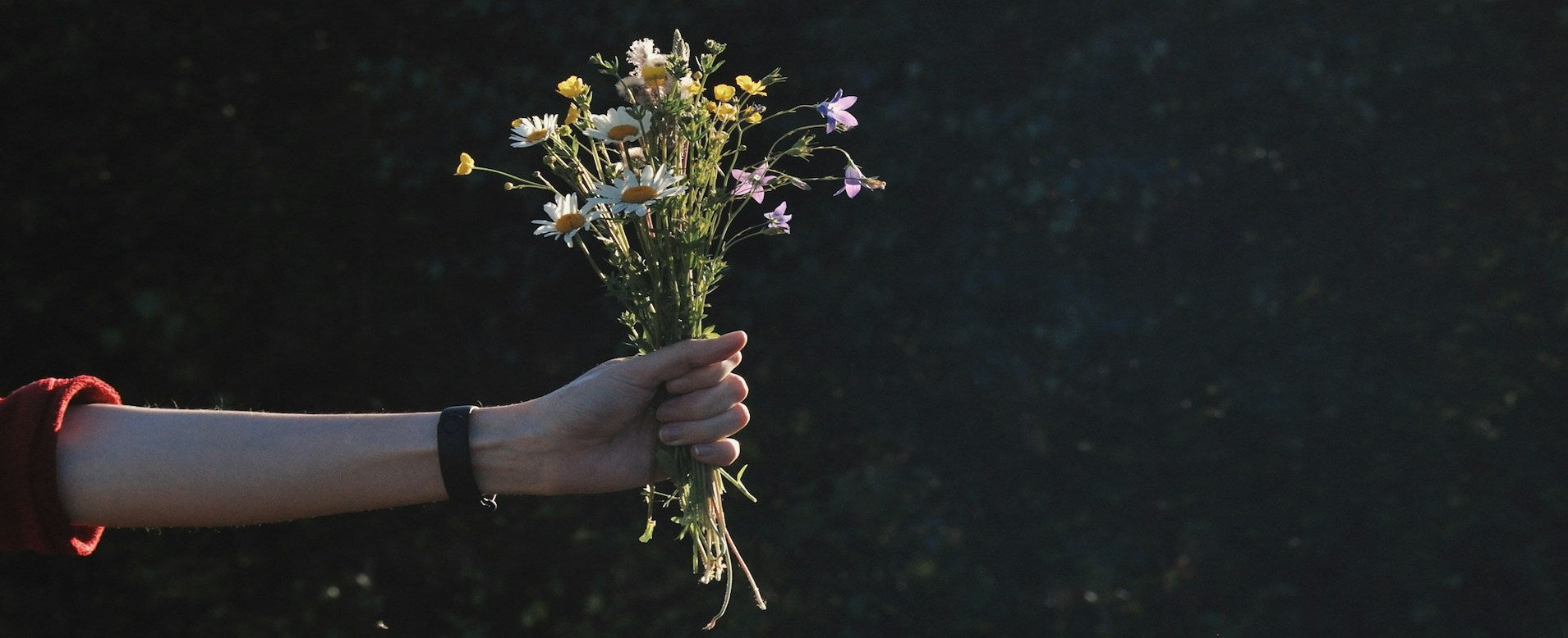 Main tenant un petit bouquet de fleurs sauvages (marguerites et clochettes violettes) sur un fond sombre et naturel, illustrant la bienveillance et le service client de Léa et Lou.