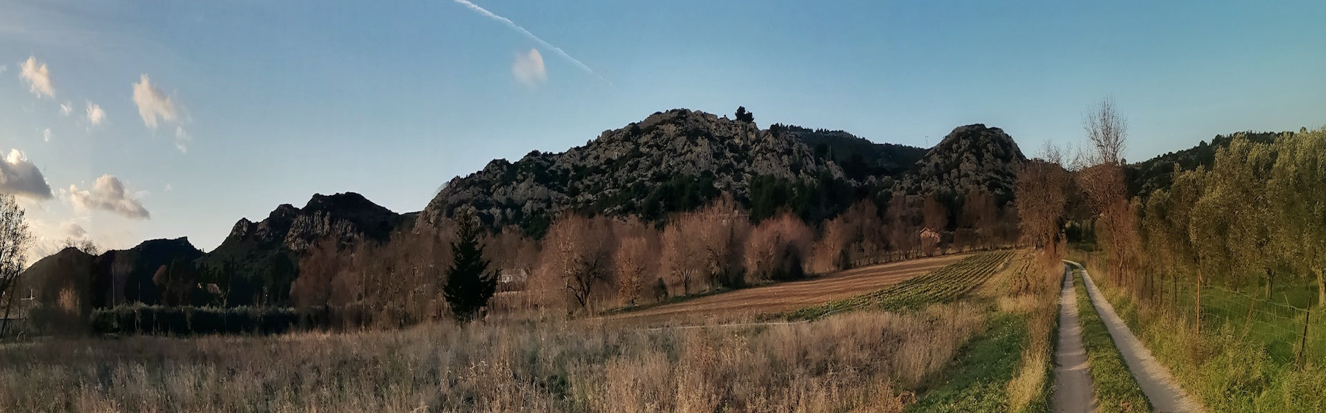 Chemin de terre bordé d'oliviers et de collines rocheuses en Provence sous un ciel bleu clair, lieu de cueillette et d'inspiration pour les créations Léa et Lou.